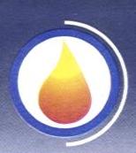 Alfalah Filling & Cng Station logo